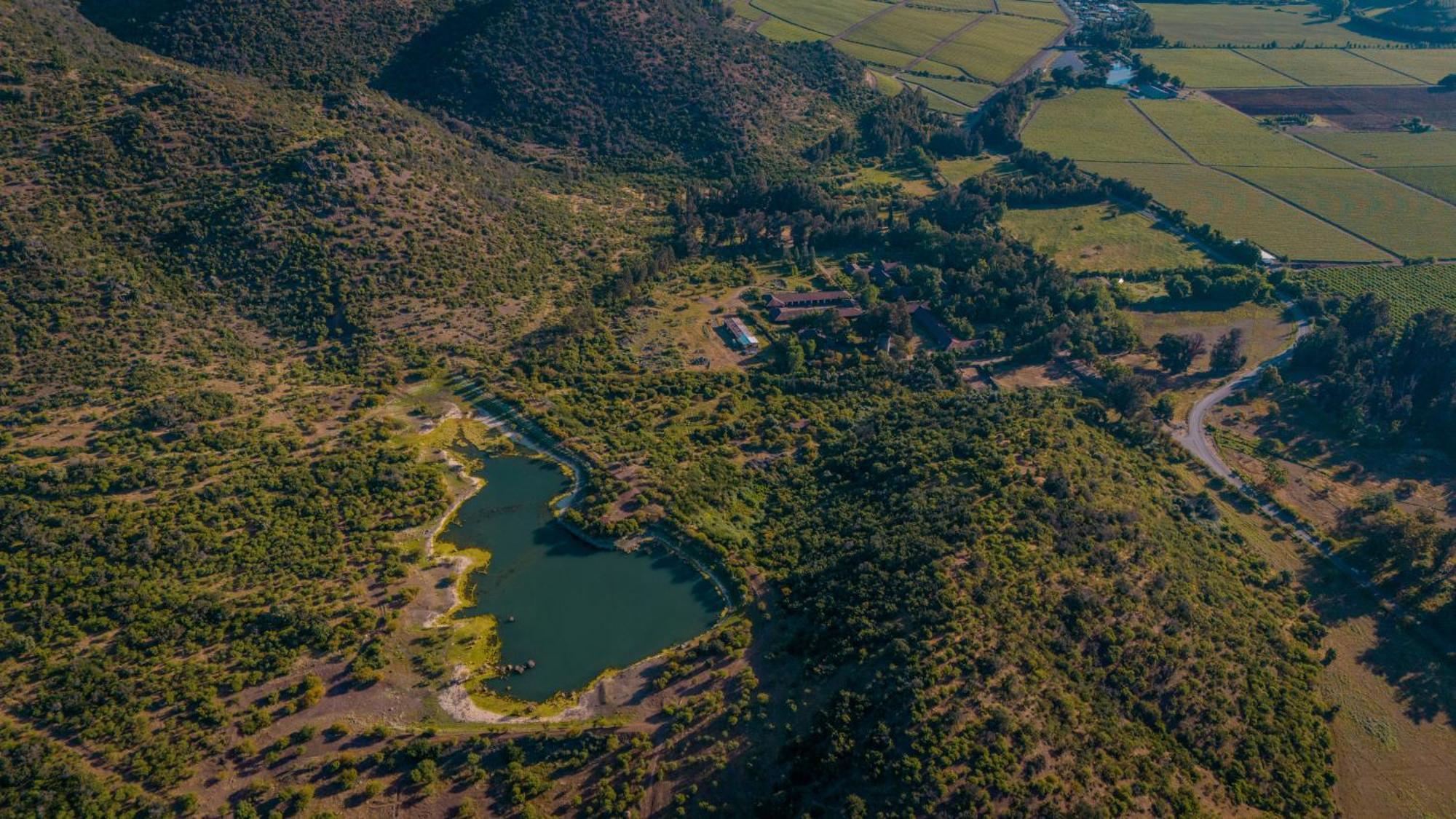 Hacienda Los Lingues Chile Valle De Colchagua エクステリア 写真