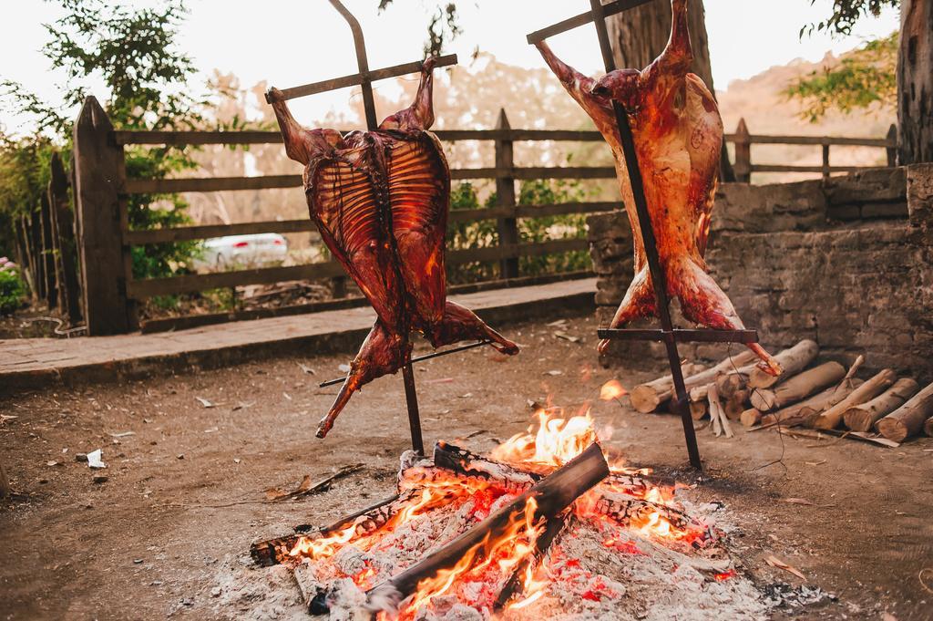 Hacienda Los Lingues Chile Valle De Colchagua エクステリア 写真