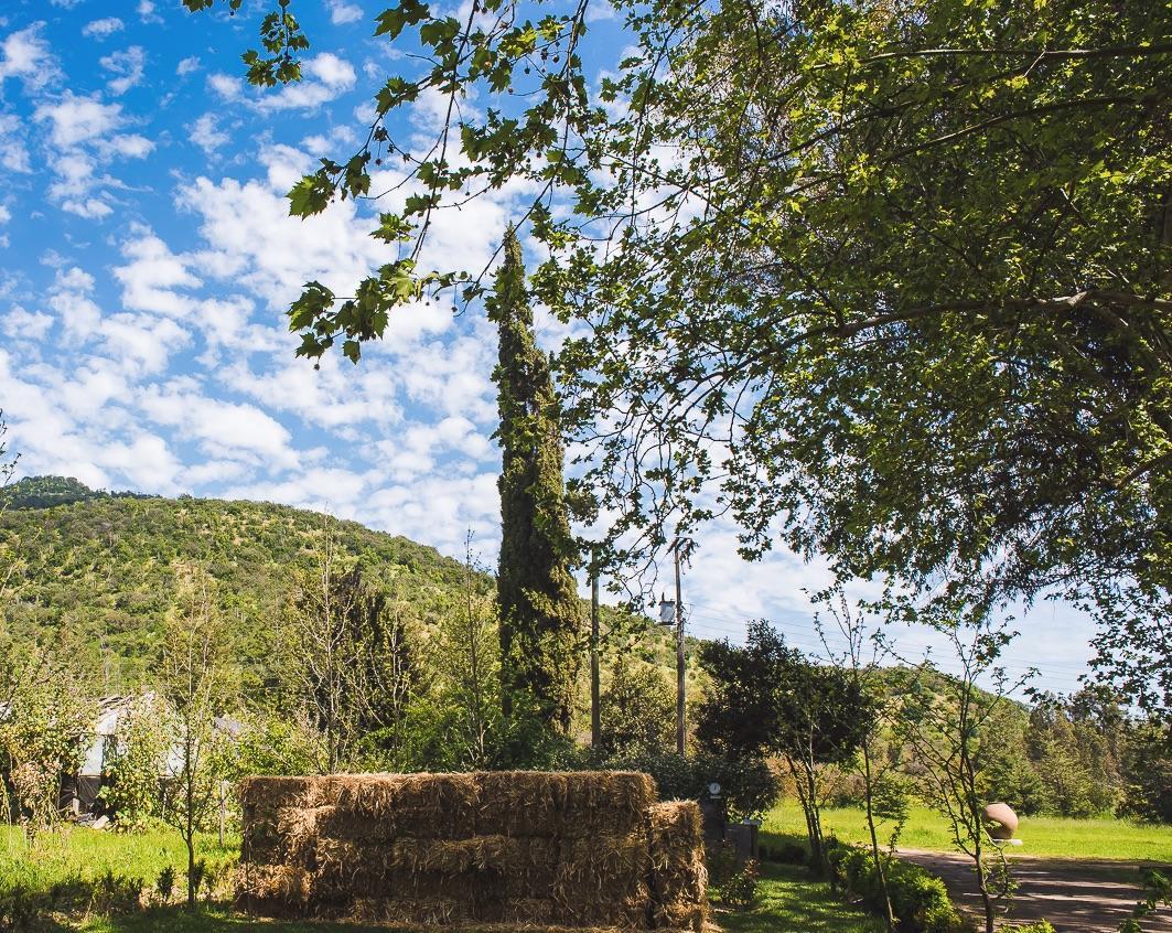 Hacienda Los Lingues Chile Valle De Colchagua エクステリア 写真